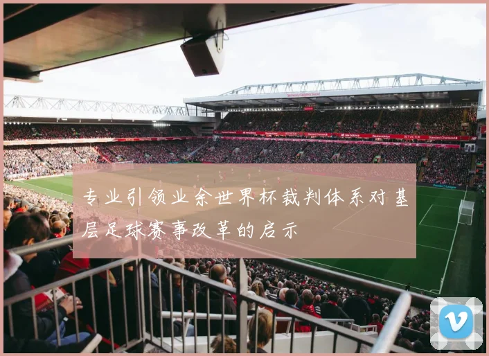 专业引领业余世界杯裁判体系对基层足球赛事改革的启示