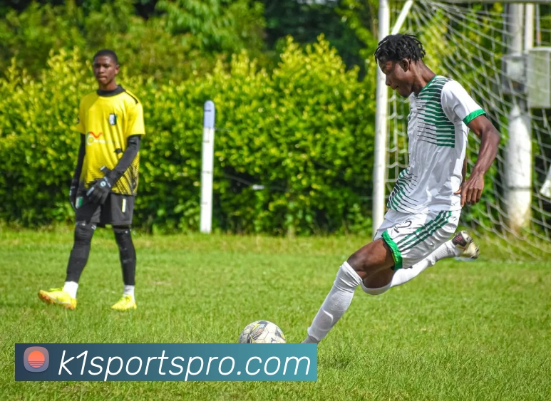 K1体育平台生态图