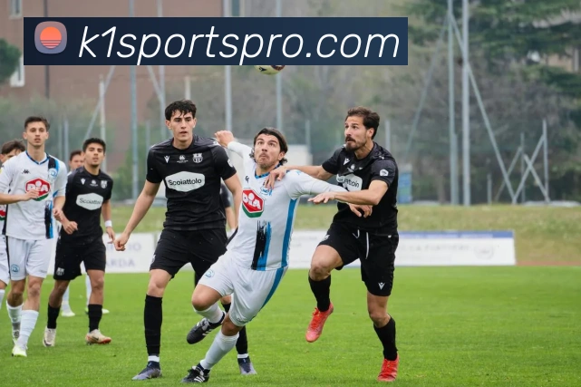 辅助工具 辅助工具